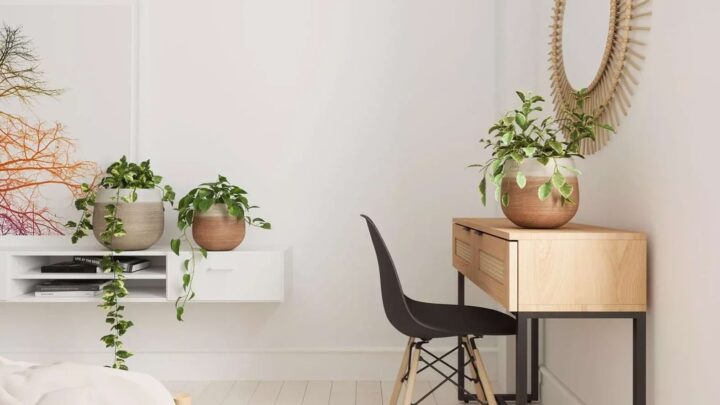 Doniczki dekoracyjne – funkcjonalność i estetyka w aranżacji wnętrz i ogrodów